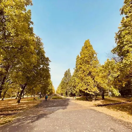 Ktw Debowe Tarasy * Катовице