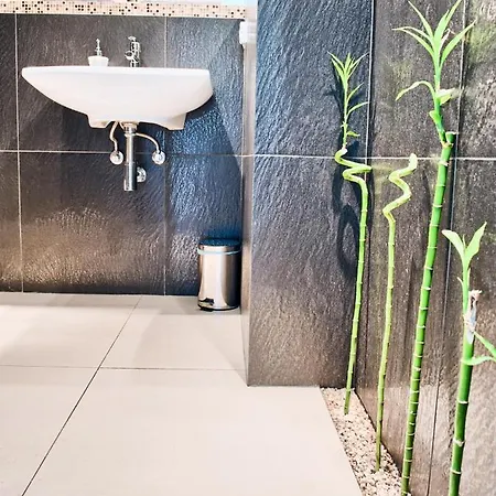 Apartment Ktw Debowe Tarasy Katowice