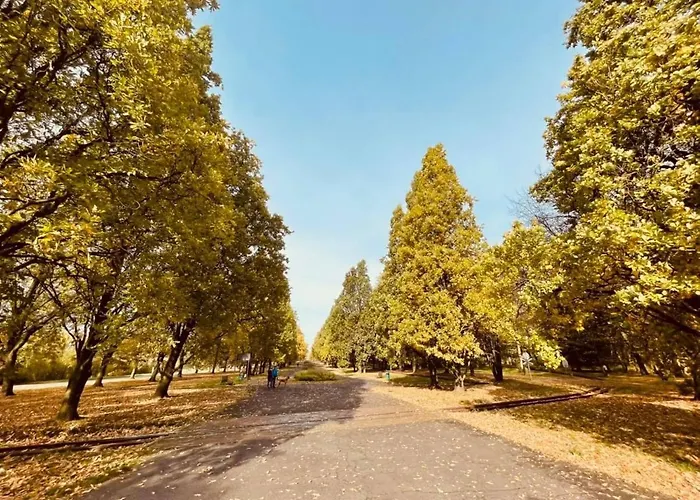 Ktw Debowe Tarasy * Katovice